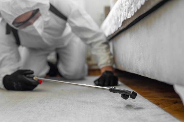 Professional Termite Control technician working in Hondo, TX