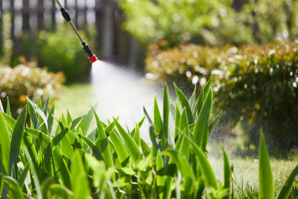 24/7 Emergency Termite Control experts in Hondo, TX